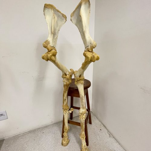 laboratorio1