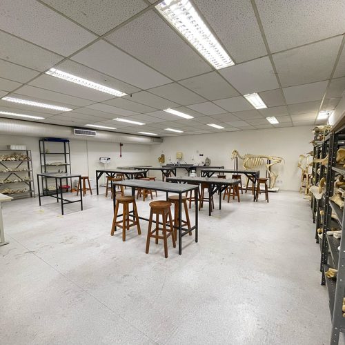 laboratorio11