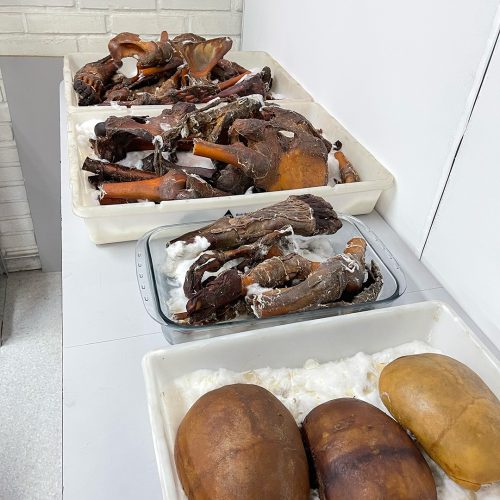 laboratorio23