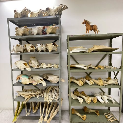 laboratorio24
