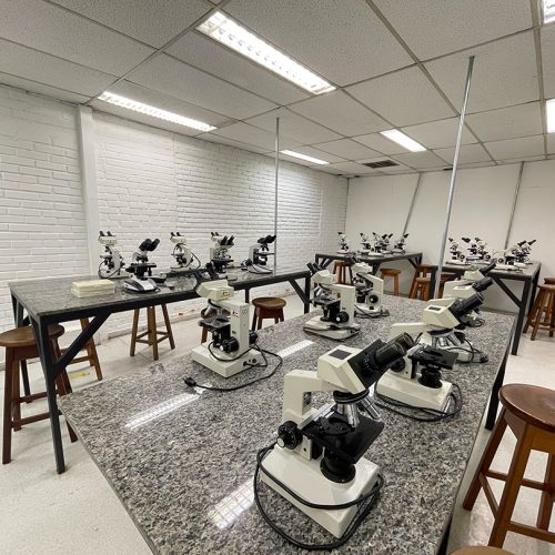 laboratorio37
