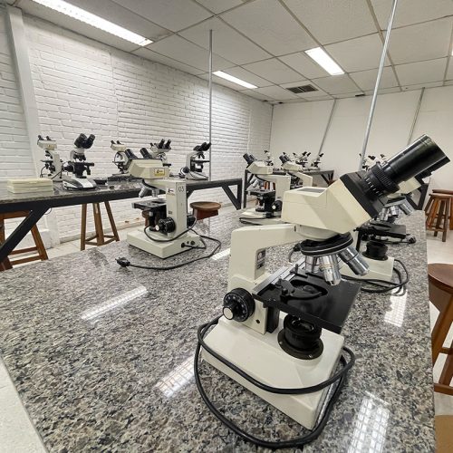laboratorio39