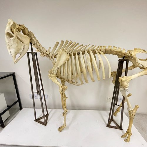laboratorio40