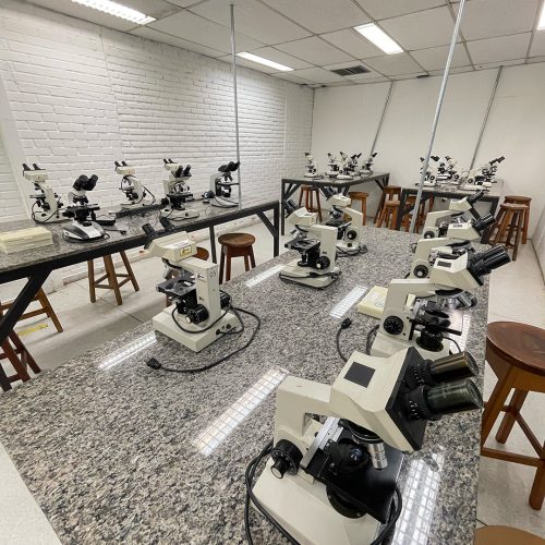 laboratorio6