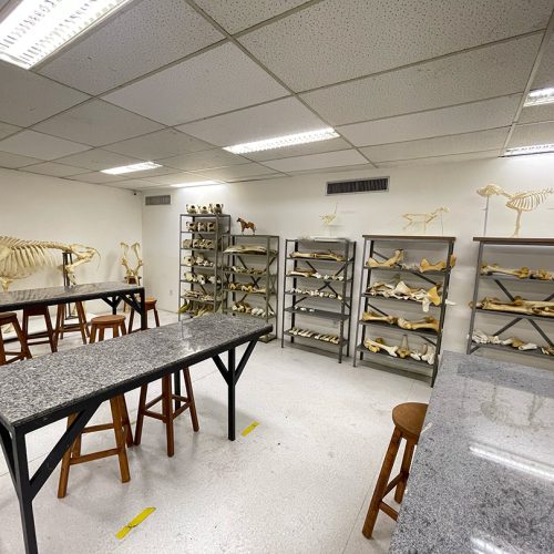 laboratorio9